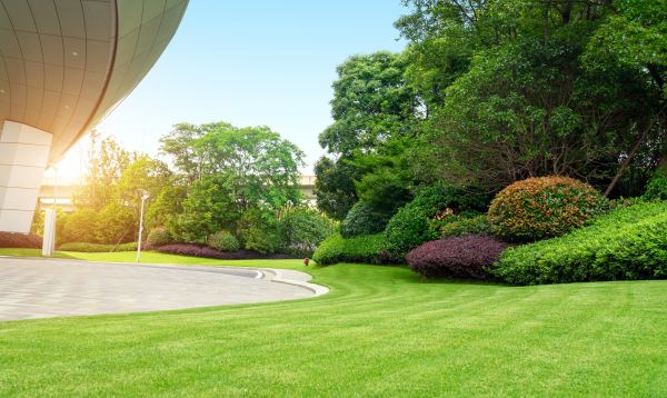 Commercial Shrub Trimming in Jeffersonville