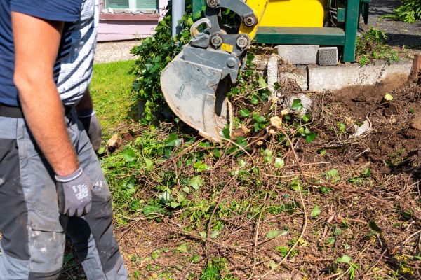 Hedge Removal Service in Jeffersonville