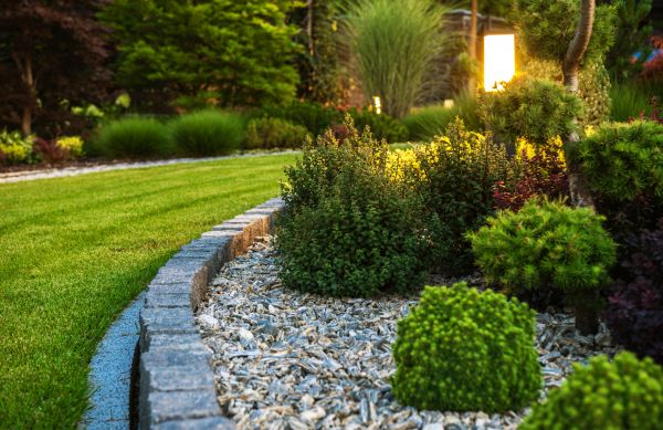 Bush Relocation in Jeffersonville