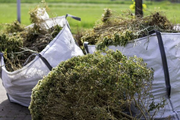 Shrubs Removal in Jeffersonville