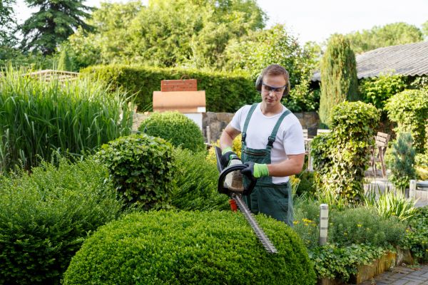 Shrubs Trimming in Jeffersonville